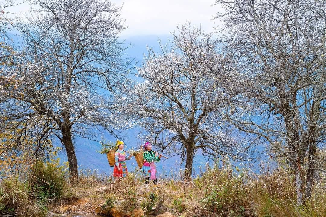 4-Day Cycling Tour: Hanoi to Ngoc Chien & Nam Nghep